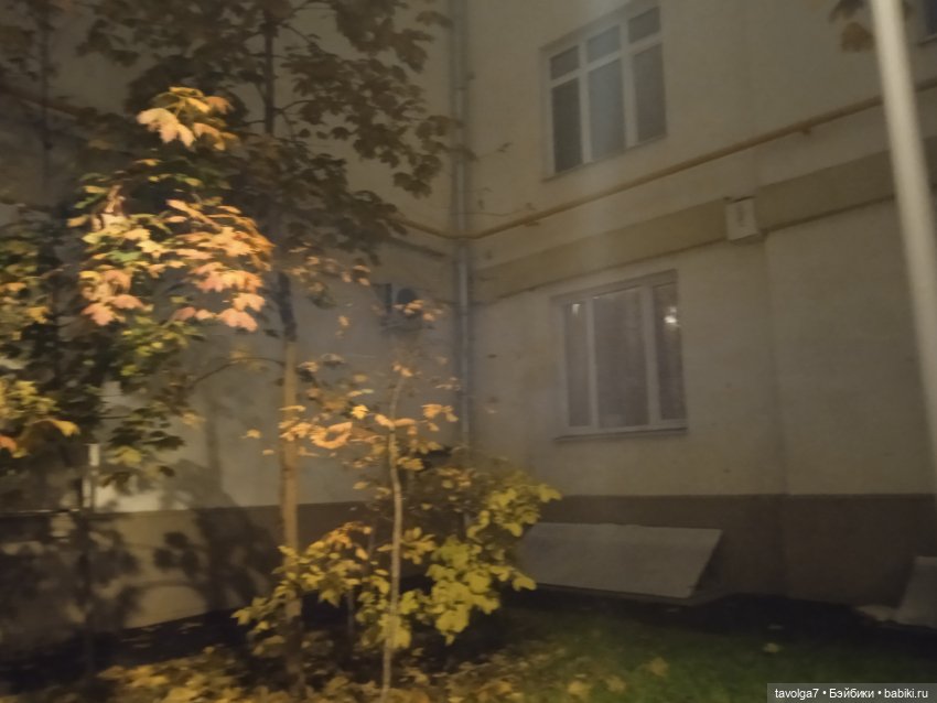 Аня "Умницы" Весна октябрь, Москва, Покровка (фото 4)