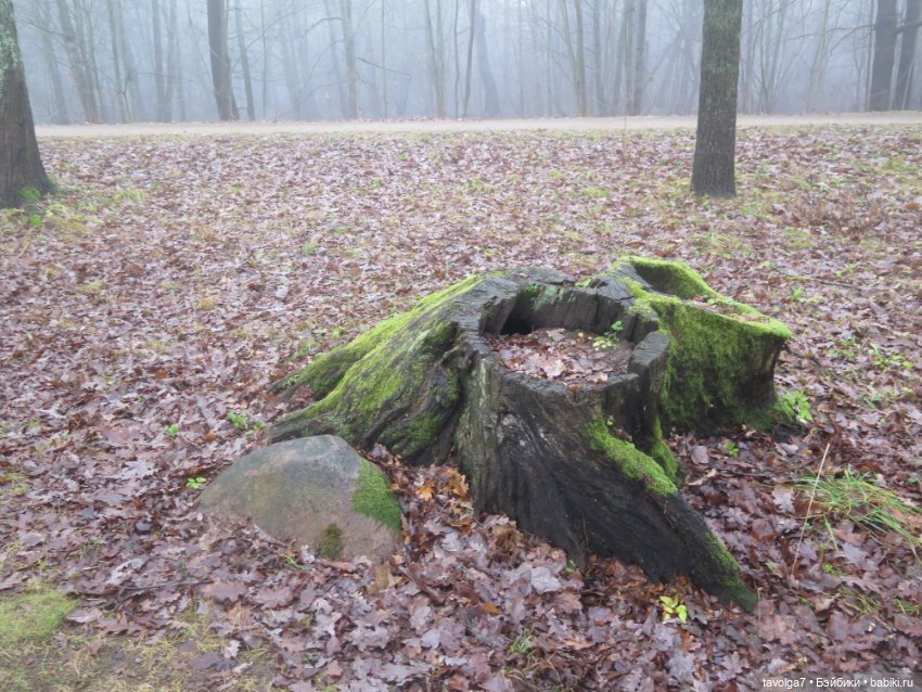 Самайн 2025 — Туризм и путешествия: фотоотчеты из поездок (фото 5)