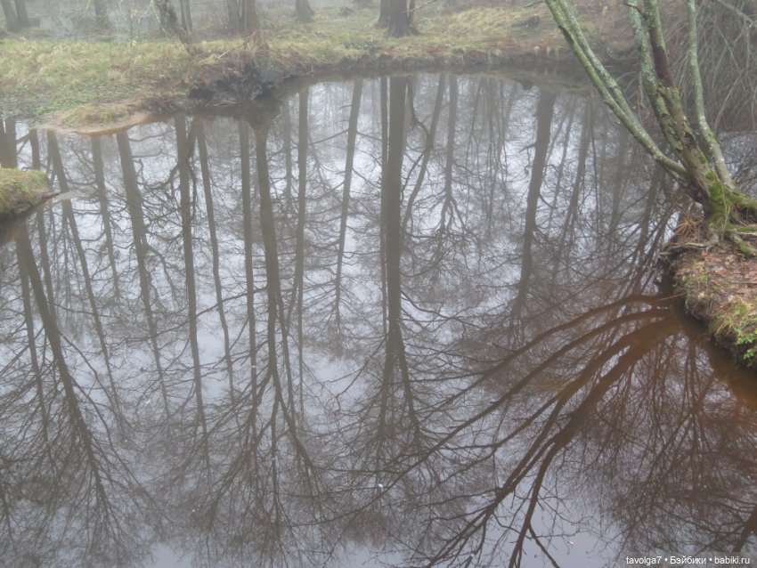 Самайн 2025 — Туризм и путешествия: фотоотчеты из поездок