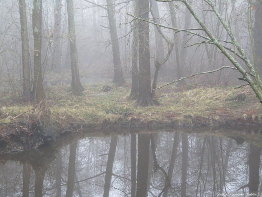 Самайн 2025 — Туризм и путешествия: фотоотчеты из поездок