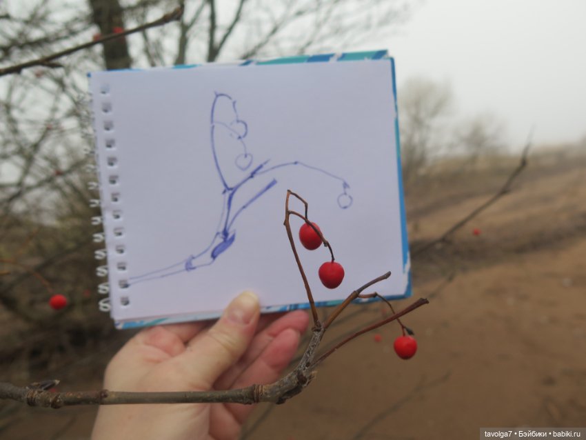 Самайн 2025 — Туризм и путешествия: фотоотчеты из поездок