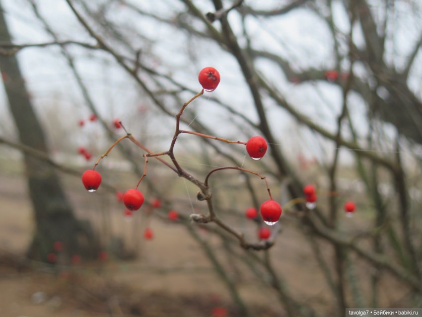Самайн 2025 — Туризм и путешествия: фотоотчеты из поездок