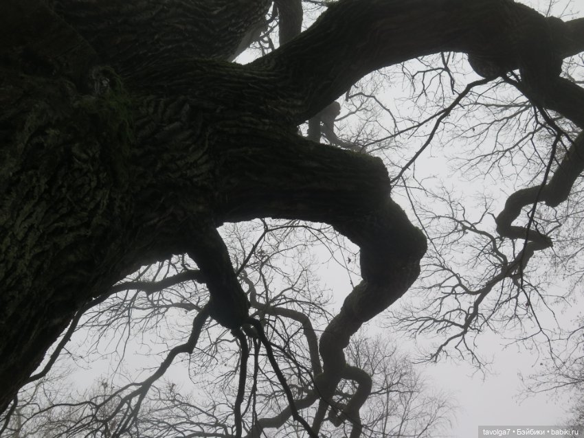 Самайн 2025 — Туризм и путешествия: фотоотчеты из поездок (фото 3)