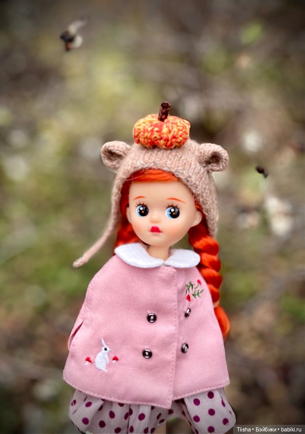 Сладкая «тыковка» Littleberry