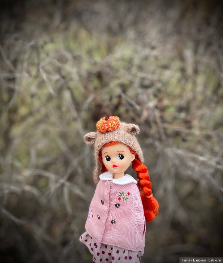 Сладкая «тыковка» Littleberry (фото 4)