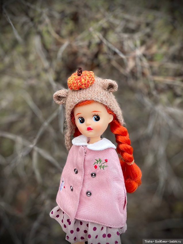 Сладкая «тыковка» Littleberry (фото 3)