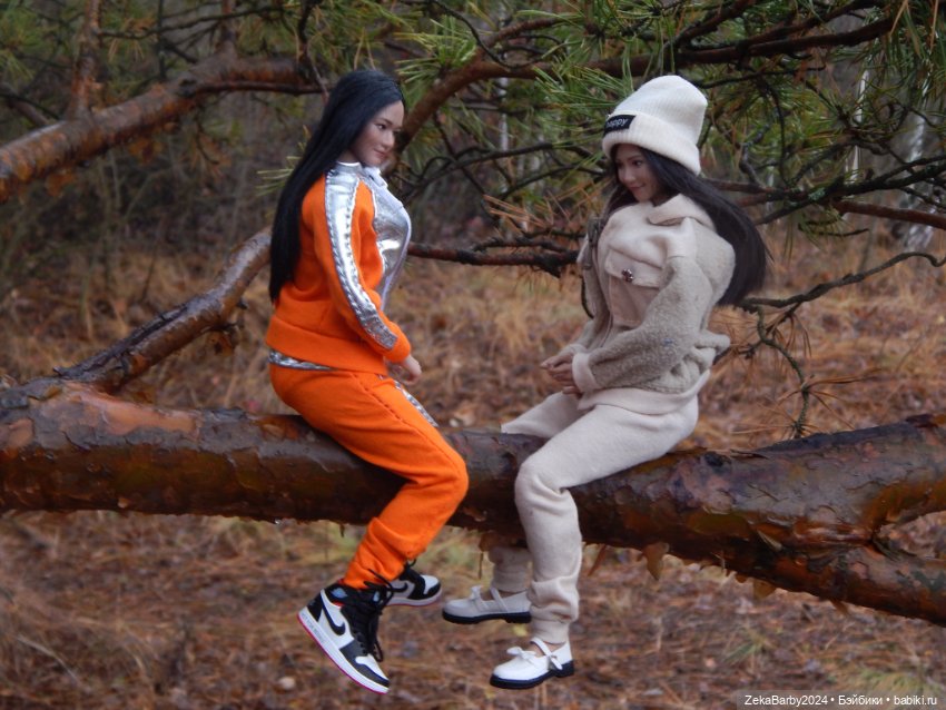 Сходили в лес — Туризм и путешествия: фотоотчеты из поездок (фото 3)