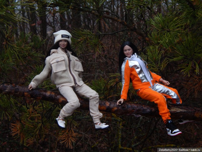 Сходили в лес — Туризм и путешествия: фотоотчеты из поездок (фото 6)