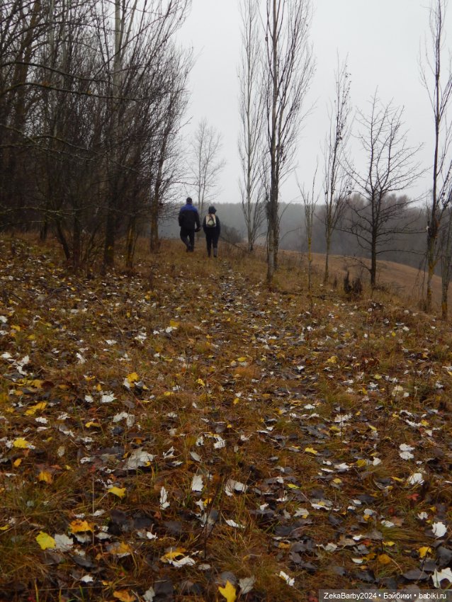 Сходили в лес — Туризм и путешествия: фотоотчеты из поездок