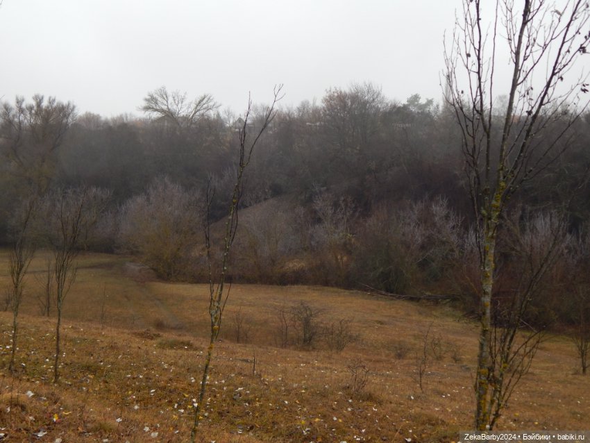 Сходили в лес — Туризм и путешествия: фотоотчеты из поездок