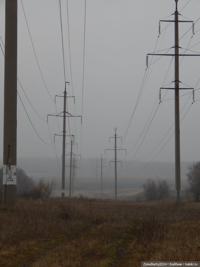 Сходили в лес — Туризм и путешествия: фотоотчеты из поездок