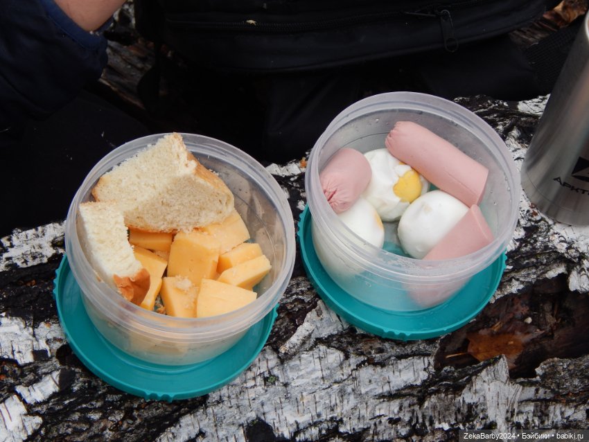 Сходили в лес — Туризм и путешествия: фотоотчеты из поездок