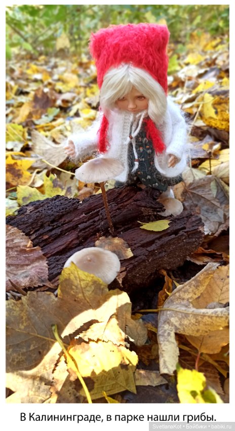 Где была Снежинка. (Кукла Елены Шкаровой) (фото 5)