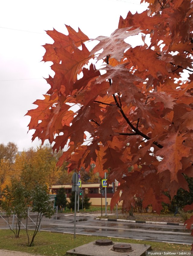 Лёля превращается,.. Лёля превращается,.. в Лёлика! И новая Лёля) (фото 4)