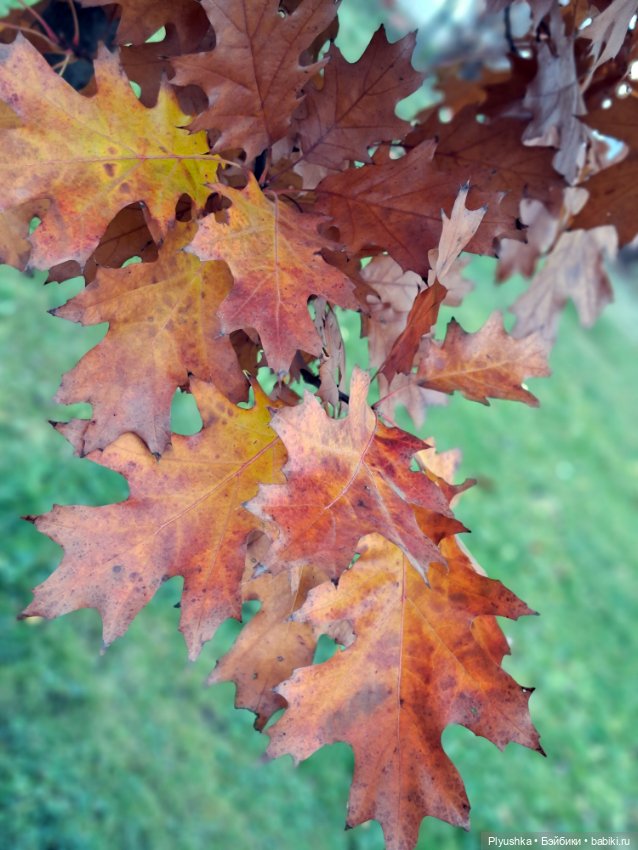Лёля превращается,.. Лёля превращается,.. в Лёлика! И новая Лёля) (фото 10)
