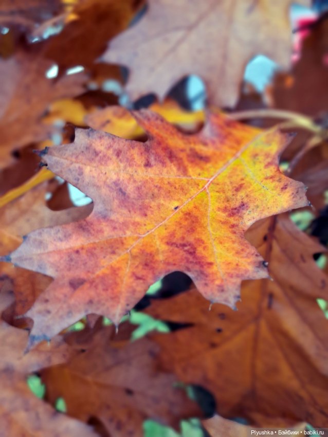 Лёля превращается,.. Лёля превращается,.. в Лёлика! И новая Лёля) (фото 8)