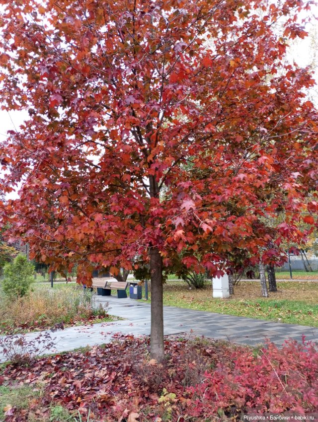 Лёля превращается,.. Лёля превращается,.. в Лёлика! И новая Лёля) (фото 2)