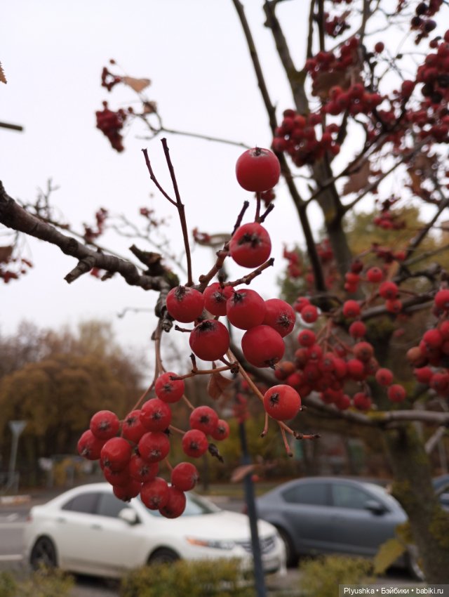 Лёля превращается,.. Лёля превращается,.. в Лёлика! И новая Лёля)
