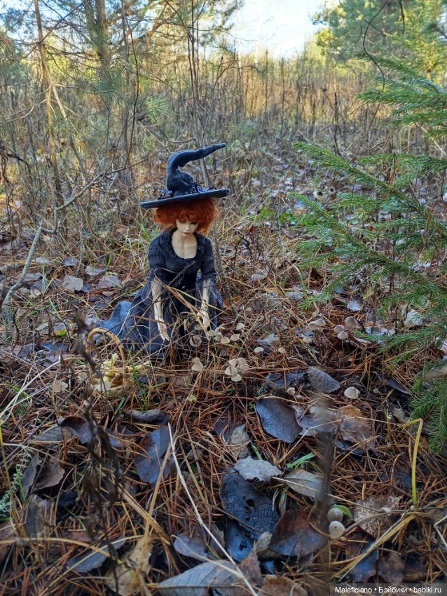 Ведьма идёт по грибы — Куклы Iplehouse (Иплхаус): BJD (БЖД) (фото 5)