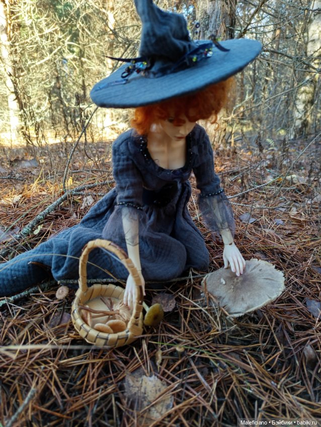 Ведьма идёт по грибы — Куклы Iplehouse (Иплхаус): BJD (БЖД) (фото 8)