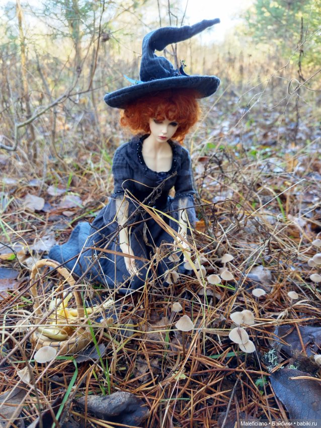 Ведьма идёт по грибы — Куклы Iplehouse (Иплхаус): BJD (БЖД) (фото 4)