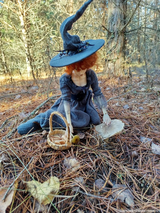 Ведьма идёт по грибы — Куклы Iplehouse (Иплхаус): BJD (БЖД) (фото 9)