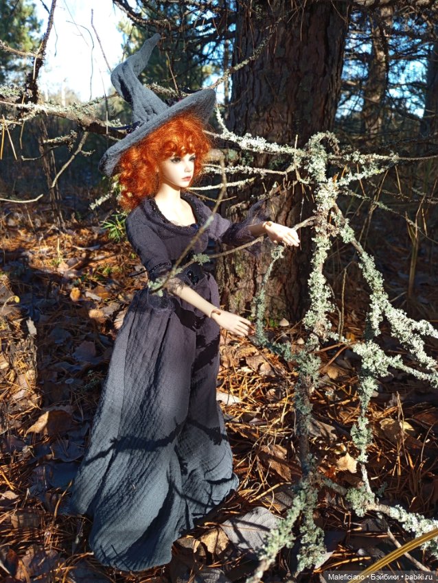 Ведьма идёт по грибы — Куклы Iplehouse (Иплхаус): BJD (БЖД) (фото 7)