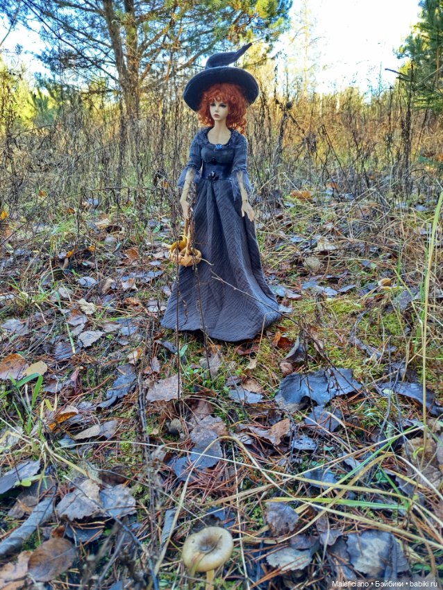 Ведьма идёт по грибы — Куклы Iplehouse (Иплхаус): BJD (БЖД) (фото 6)