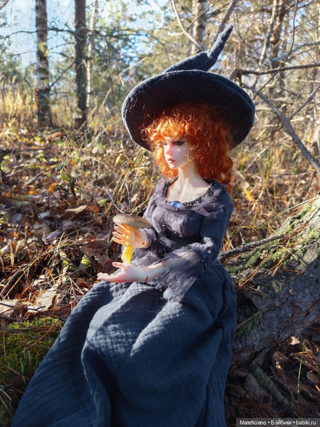 Ведьма идёт по грибы — Куклы Iplehouse (Иплхаус): BJD (БЖД) (фото 2)