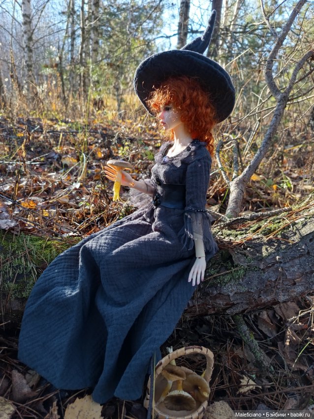 Ведьма идёт по грибы — Куклы Iplehouse (Иплхаус): BJD (БЖД)