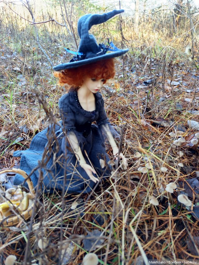 Ведьма идёт по грибы — Куклы Iplehouse (Иплхаус): BJD (БЖД) (фото 3)