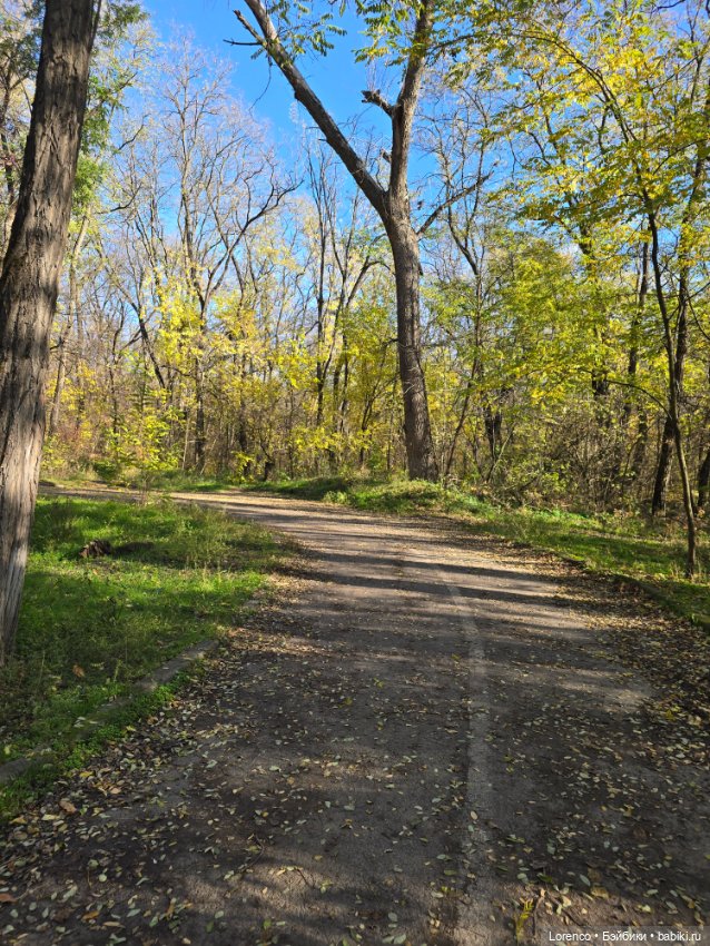 Заноябрило 2025 — Коллекционные игрушки и фигурки: Lego (фото 5)