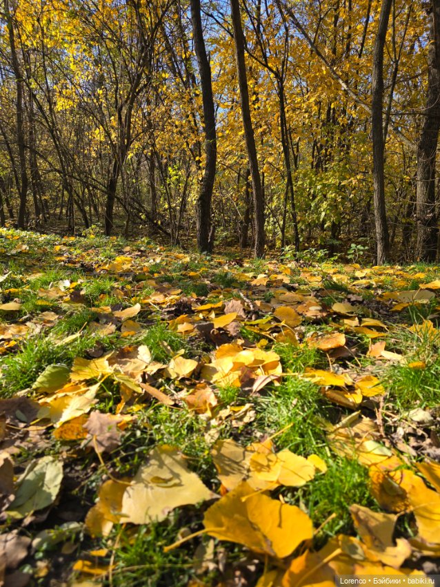 Заноябрило 2025 — Коллекционные игрушки и фигурки: Lego (фото 4)