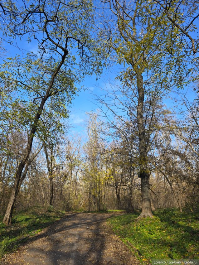 Заноябрило 2025 — Коллекционные игрушки и фигурки: Lego (фото 6)