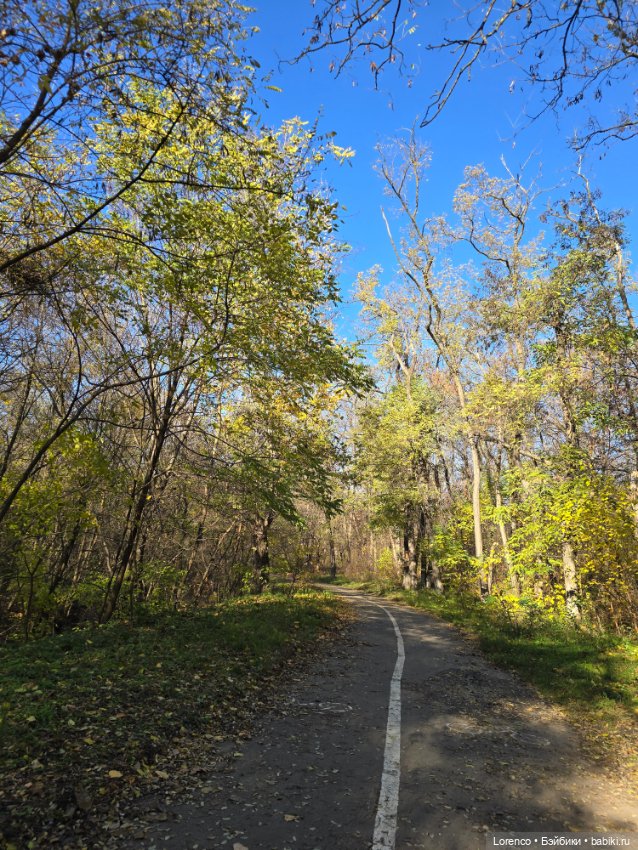 Заноябрило 2025 — Коллекционные игрушки и фигурки: Lego