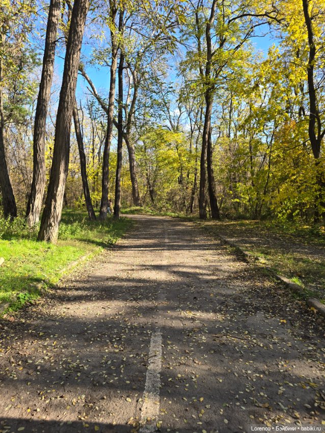 Заноябрило 2025 — Коллекционные игрушки и фигурки: Lego (фото 3)