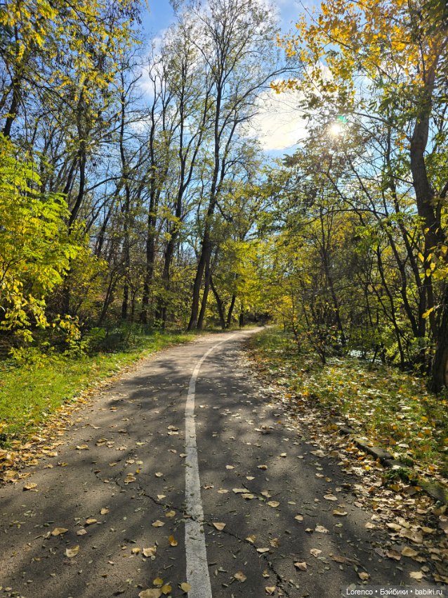 Заноябрило 2025 — Коллекционные игрушки и фигурки: Lego (фото 2)