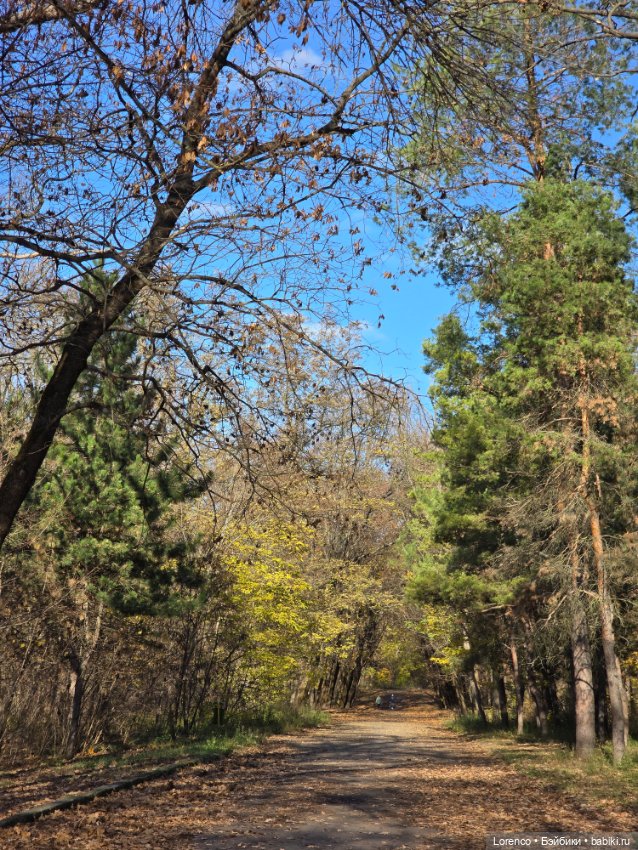 Заноябрило 2025 — Коллекционные игрушки и фигурки: Lego