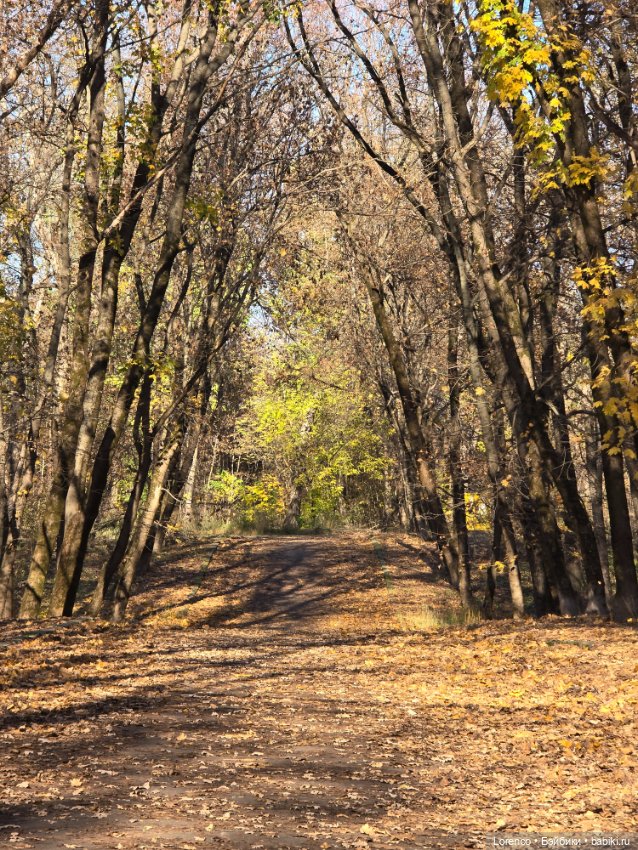 Заноябрило 2025 — Коллекционные игрушки и фигурки: Lego