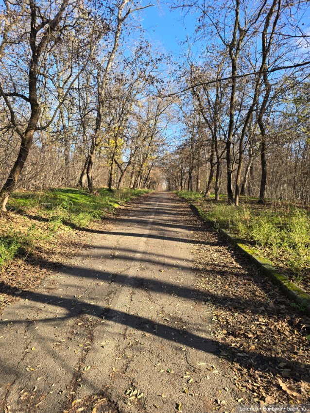 Заноябрило 2025 — Коллекционные игрушки и фигурки: Lego (фото 7)