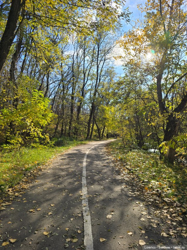 Заноябрило 2025 — Коллекционные игрушки и фигурки: Lego