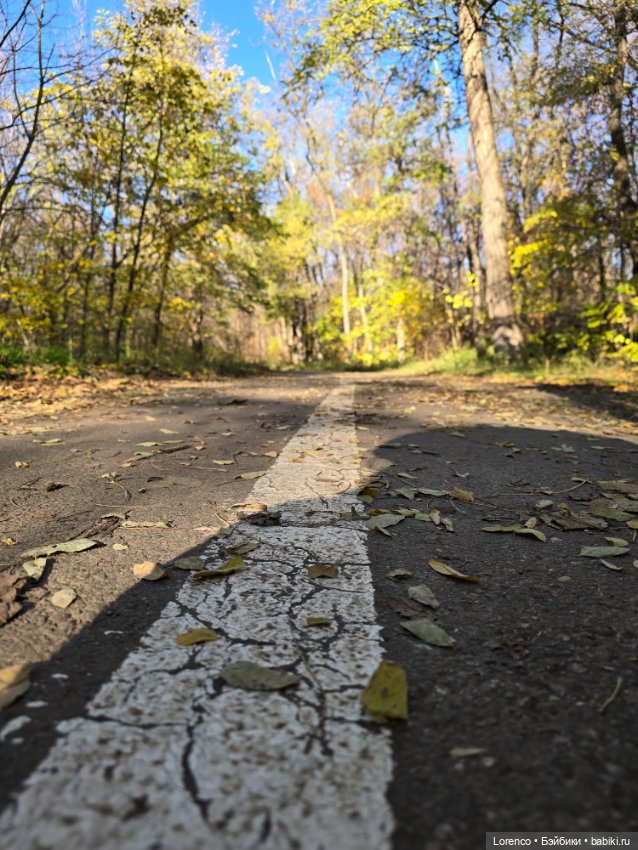 Заноябрило 2025 — Коллекционные игрушки и фигурки: Lego