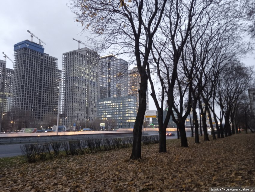 Хильди Remco и друзья в Петровском парке в Москве