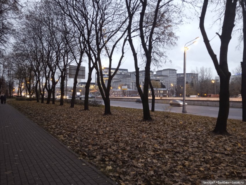 Хильди Remco и друзья в Петровском парке в Москве