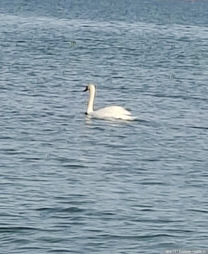 Прогулка выходного дня — Одежда и обувь для кукол своими руками: фото