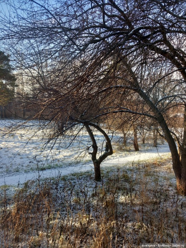 Всем девочкам посвящается (фото 9)