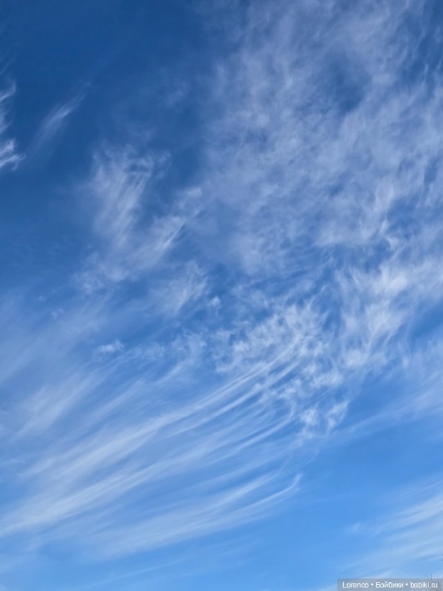 Один день — Коллекционные игрушки и фигурки: Lego