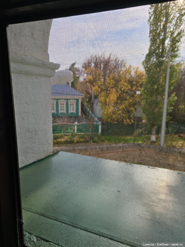 Один день — Коллекционные игрушки и фигурки: Lego (фото 8)