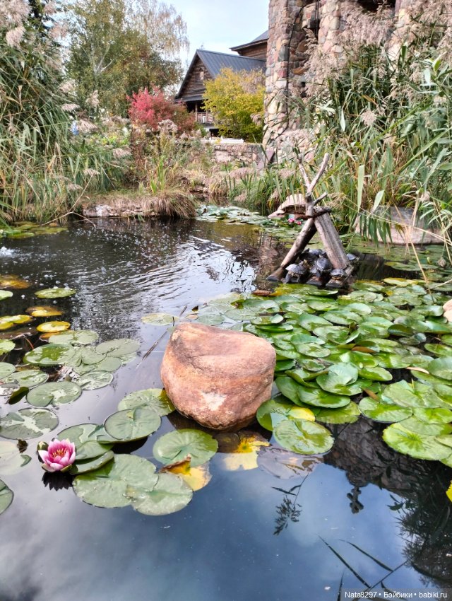 Прогулка с Лизой от Heidi Plusczok в сентябре