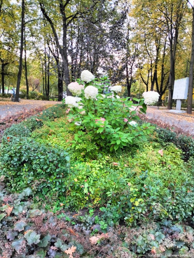 Прогулка с Лизой от Heidi Plusczok в сентябре (фото 10)